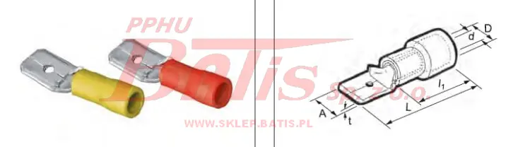 radpol-wstaw.jpg
