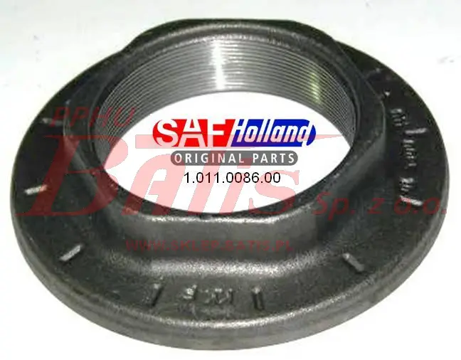 SAF-wstaw.jpg