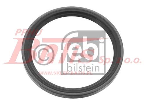 febi-wstaw.jpg