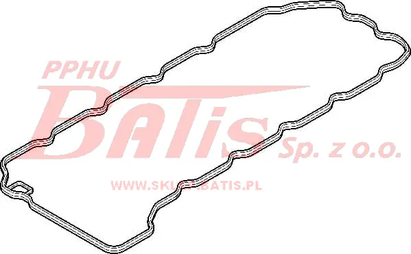Elring.jpg