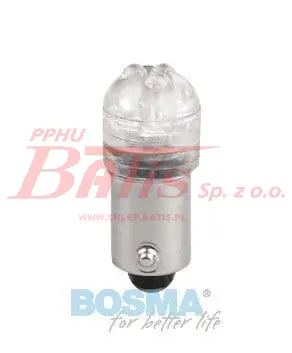 Bosma-wstaw.jpg