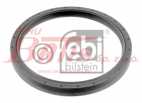 febi-wstaw.jpg