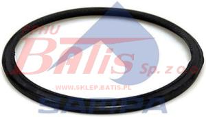 USZCZELNIACZ sampa PIASTY TYŁ VOLVO-RVI MAGNUM DXI PREMIUM DXI KERAX FH/FM 9/10/12/16/ F/FL/FM 6/7   ( piasta 091079, 071822)  7421036050 7420518661  F200002  F2000014  SET1314   030347