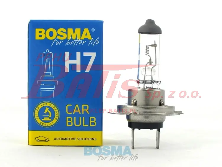 h7 bosma.jpeg