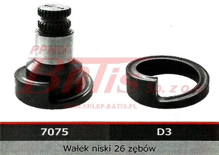 Elerte-wstaw2.JPG