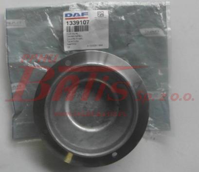 DAF OE-wstaw.jpg