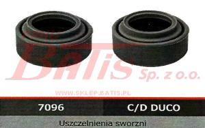 USZCZELNIACZE btp PROWADNIC MERITOR ELSA 2 szt btp