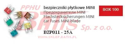 HICO BORG-wstaw.jpg