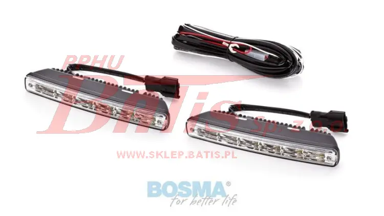 Bosma-wstaw.jpg