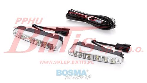 Bosma-wstaw.jpg