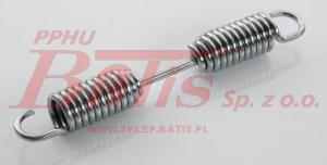 SPRĘŻYNA SZCZĘK HAMULCA BPW TYP-N SN 3015/3020 /163*22*3/ peters