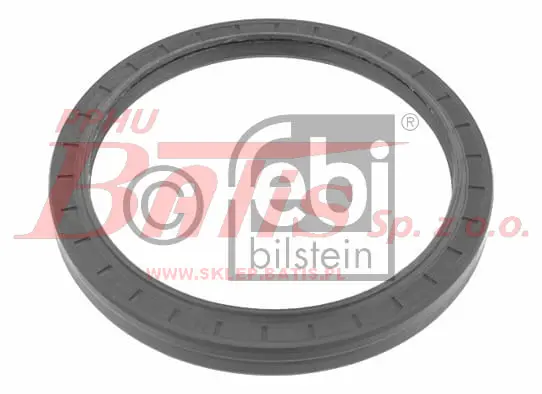 febi-wstaw.jpg