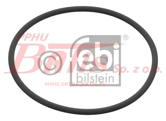 febi-wstaw.jpg