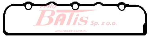Elring.jpg