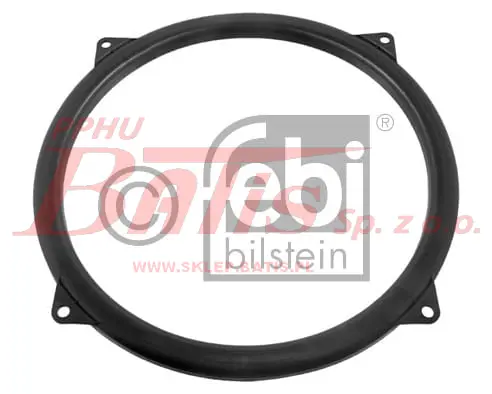 FEBI.jpg