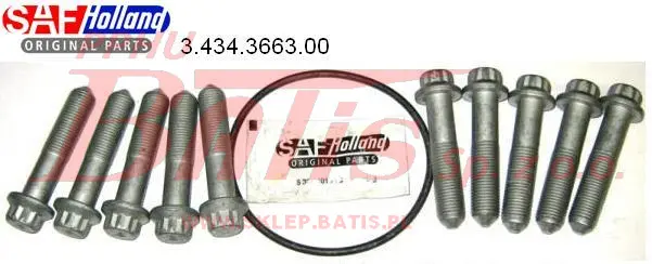 SAF-wstaw.jpg