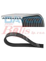 PASEK dayco WIELOROWKOWY 8PK1716 /DAFXF95/