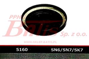 ZAŚLEPKA btp BROK ZACISKU HAMULCOWEGO 42mm SK7